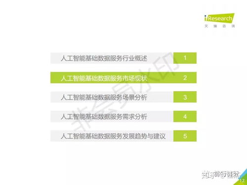 2019年中國人工智能基礎數據服務白皮書 驅動智能未來的核心基石
