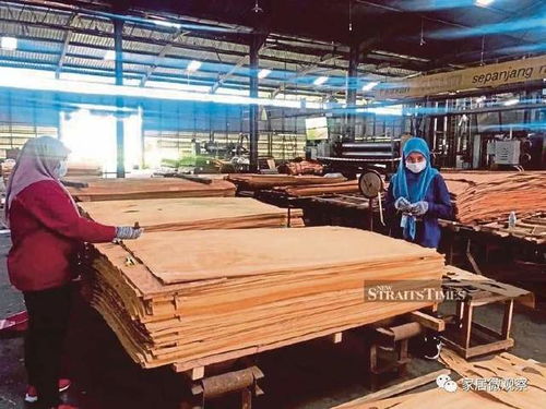 馬來西亞木制品出口迎來爆發期 預計2025年達287億人民幣，產業升級與全球需求雙輪驅動